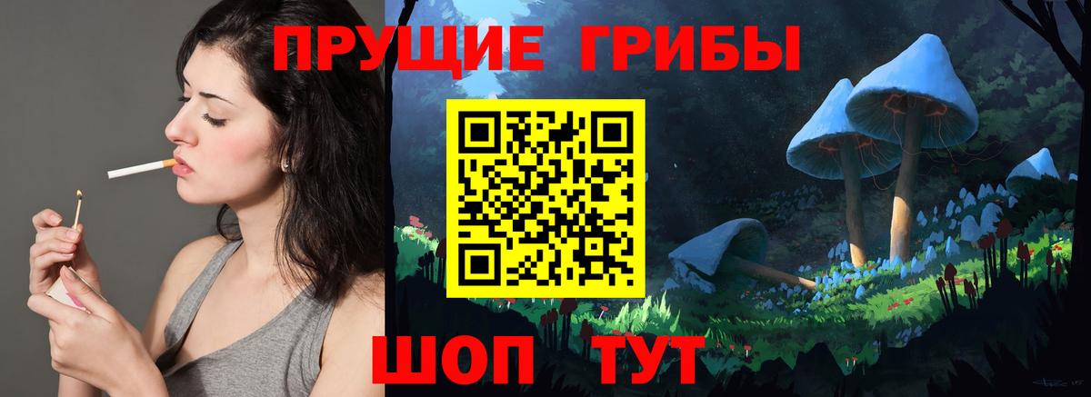 Менделеевск  Галлюциногенные грибы Psilocybine cubensis  Вход с VPN 