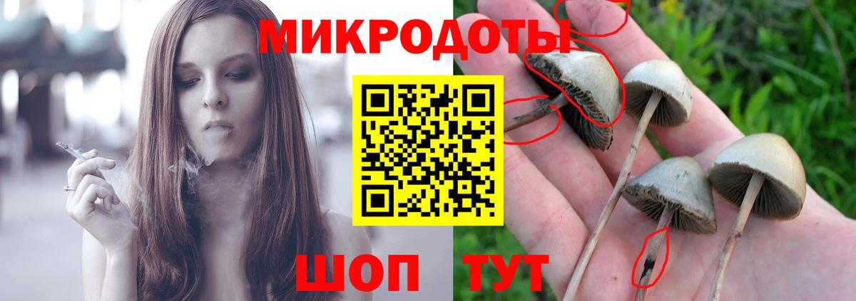 Псилоцибиновые грибы GOLDEN TEACHER Менделеевск